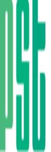 Power Systems Logo